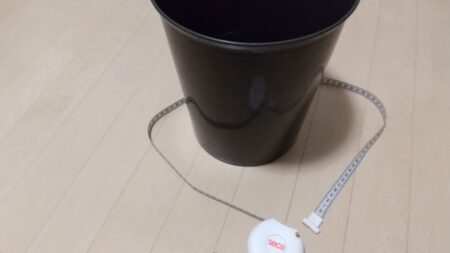 secaの周囲測定テープでウエストや腹囲を測る方法